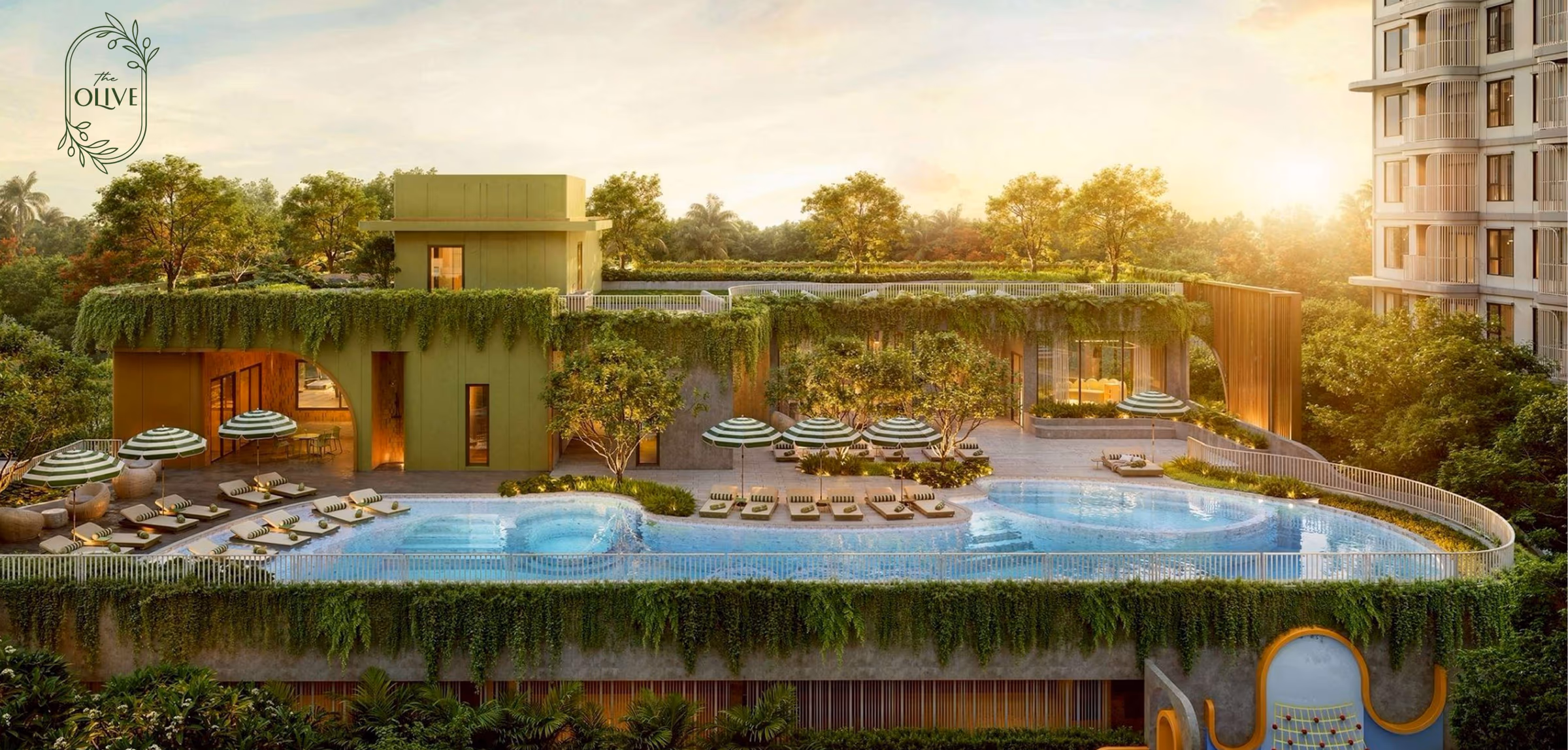 Lap pool at The Olive — outdoor pool along the facade
