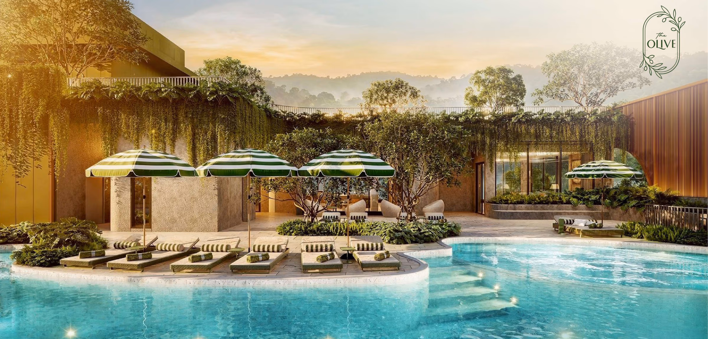 Pool deck at The Olive — loungers and tropical gardens